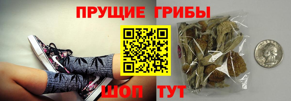 Псилоцибиновые грибы прущие грибы  Галлюциногенные грибы Magic Shrooms  Анжеро-Судженск  Вход с VPN 